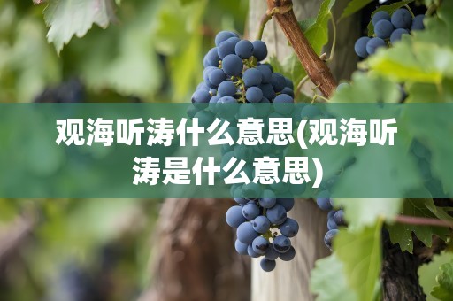 观海听涛什么意思(观海听涛是什么意思)