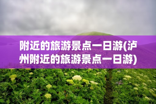 附近的旅游景点一日游(泸州附近的旅游景点一日游)