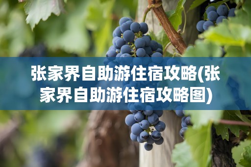 张家界自助游住宿攻略(张家界自助游住宿攻略图)