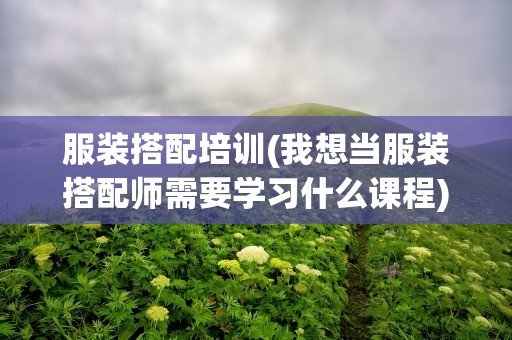 服装搭配培训(我想当服装搭配师需要学习什么课程)