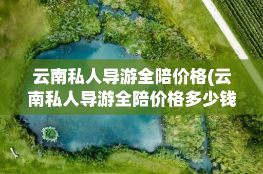 云南私人导游全陪价格(云南私人导游全陪价格多少钱)