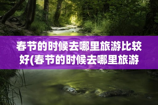 春节的时候去哪里旅游比较好(春节的时候去哪里旅游比较好呢)