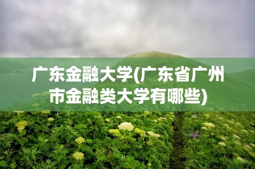 广东金融大学(广东省广州市金融类大学有哪些)