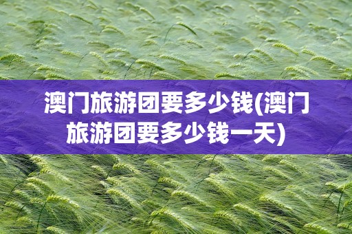 澳门旅游团要多少钱(澳门旅游团要多少钱一天)