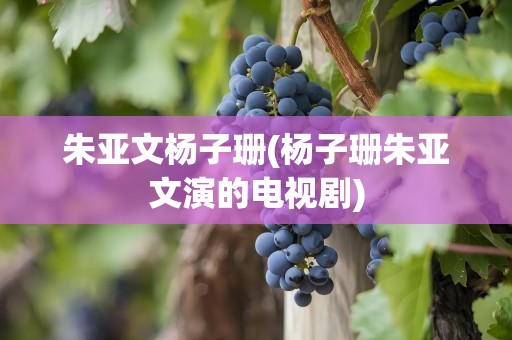 朱亚文杨子珊(杨子珊朱亚文演的电视剧)