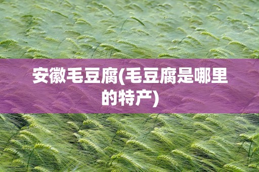 安徽毛豆腐(毛豆腐是哪里的特产)