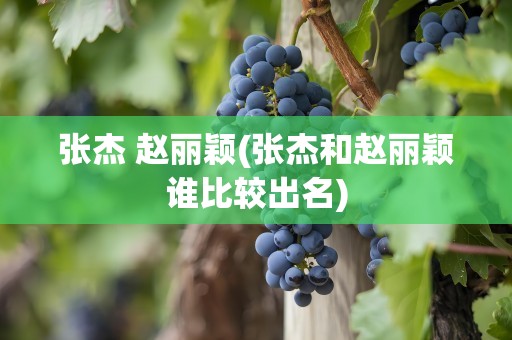 张杰 赵丽颖(张杰和赵丽颖谁比较出名)