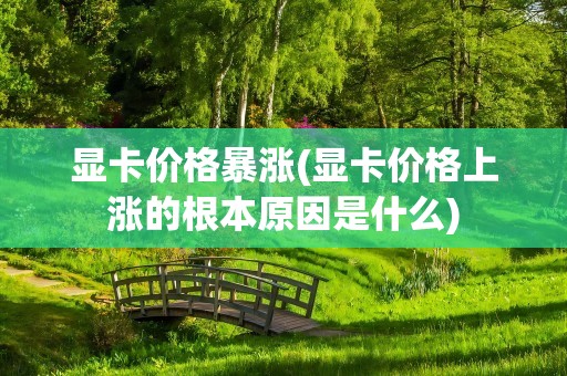 显卡价格暴涨(显卡价格上涨的根本原因是什么)