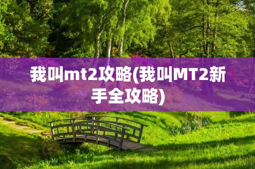 我叫mt2攻略(我叫MT2新手全攻略)