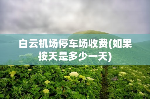 白云机场停车场收费(如果按天是多少一天)