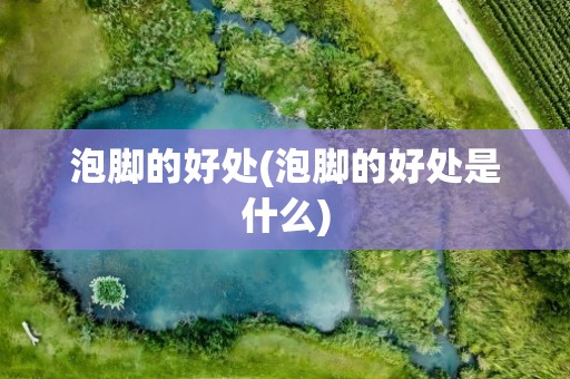 泡脚的好处(泡脚的好处是什么)