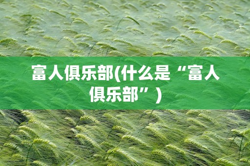 富人俱乐部(什么是“富人俱乐部”)