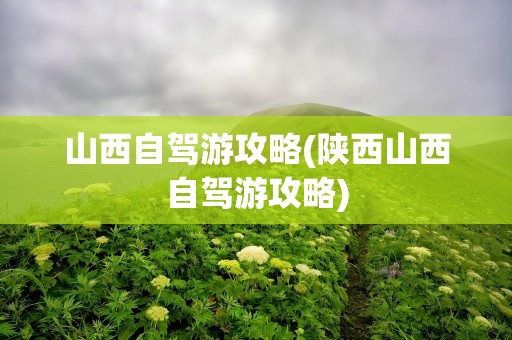 山西自驾游攻略(陕西山西自驾游攻略)
