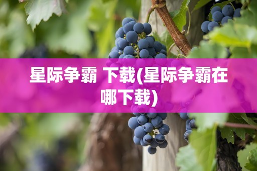 星际争霸 下载(星际争霸在哪下载)