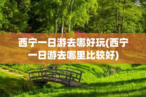 西宁一日游去哪好玩(西宁一日游去哪里比较好)