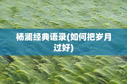 杨澜经典语录(如何把岁月过好)