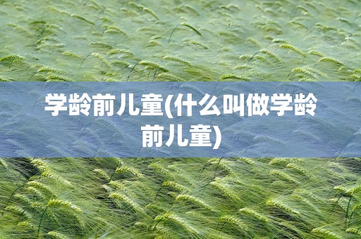 学龄前儿童(什么叫做学龄前儿童)