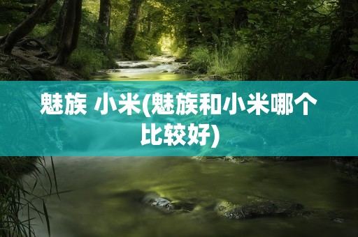 魅族 小米(魅族和小米哪个比较好)