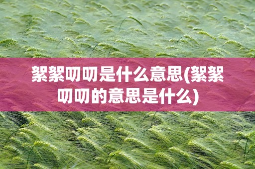 絮絮叨叨是什么意思(絮絮叨叨的意思是什么)
