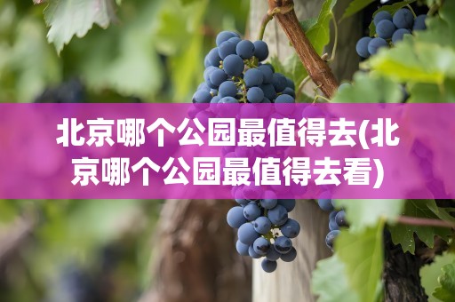 北京哪个公园最值得去(北京哪个公园最值得去看)