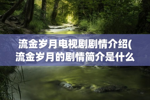 流金岁月电视剧剧情介绍(流金岁月的剧情简介是什么)