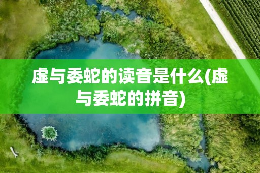 虚与委蛇的读音是什么(虚与委蛇的拼音)