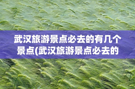 武汉旅游景点必去的有几个景点(武汉旅游景点必去的有几个景点图片)