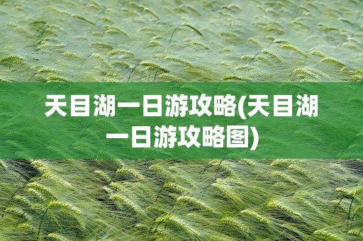 天目湖一日游攻略(天目湖一日游攻略图)