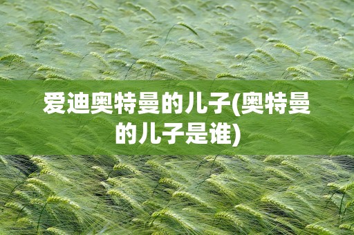 爱迪奥特曼的儿子(奥特曼的儿子是谁)