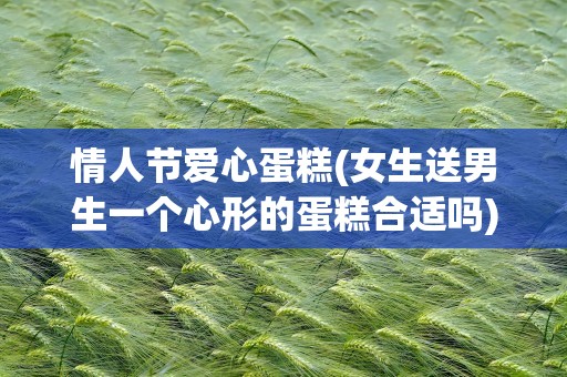 情人节爱心蛋糕(女生送男生一个心形的蛋糕合适吗)