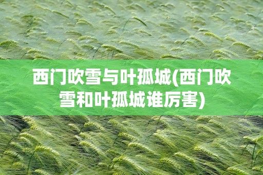 西门吹雪与叶孤城(西门吹雪和叶孤城谁厉害)