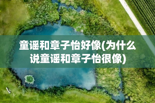 童谣和章子怡好像(为什么说童谣和章子怡很像)