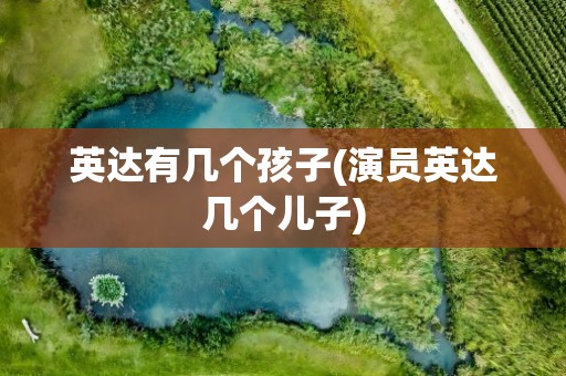英达有几个孩子(演员英达几个儿子)