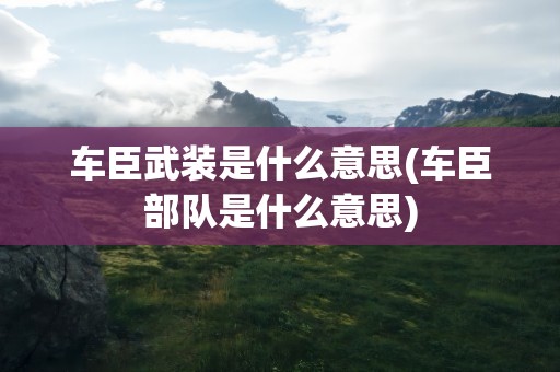 车臣武装是什么意思(车臣部队是什么意思)