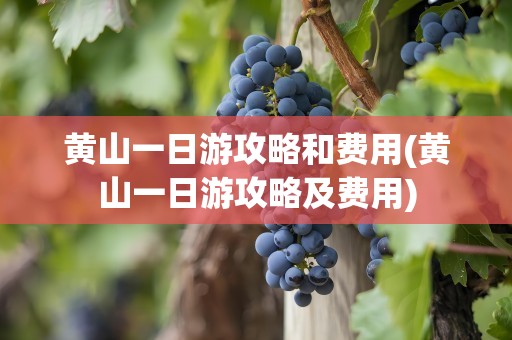 黄山一日游攻略和费用(黄山一日游攻略及费用)