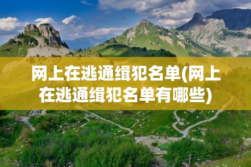 网上在逃通缉犯名单(网上在逃通缉犯名单有哪些)