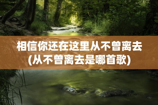 相信你还在这里从不曾离去(从不曾离去是哪首歌)