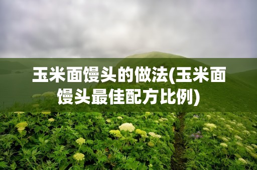 玉米面馒头的做法(玉米面馒头最佳配方比例)