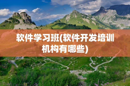 软件学习班(软件开发培训机构有哪些)