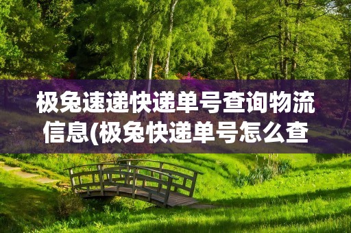 极兔速递快递单号查询物流信息(极兔快递单号怎么查询)