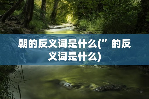朝的反义词是什么(”的反义词是什么)