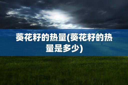 葵花籽的热量(葵花籽的热量是多少)