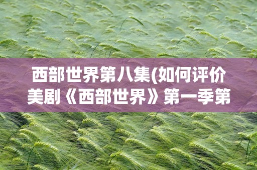 西部世界第八集(如何评价美剧《西部世界》第一季第八集)