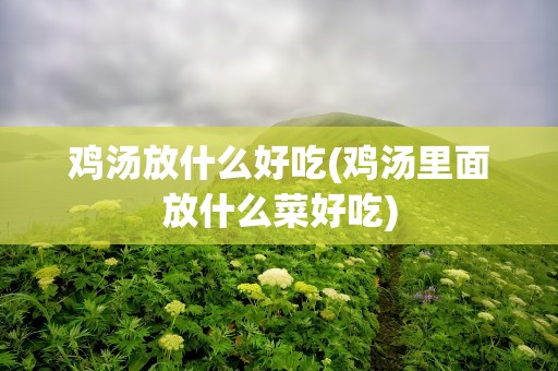 鸡汤放什么好吃(鸡汤里面放什么菜好吃)