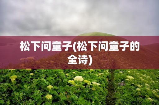松下问童子(松下问童子的全诗)