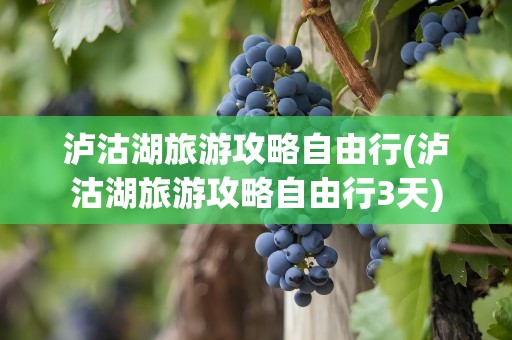 泸沽湖旅游攻略自由行(泸沽湖旅游攻略自由行3天)
