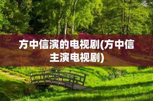 方中信演的电视剧(方中信主演电视剧)