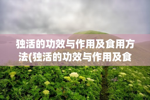 独活的功效与作用及食用方法(独活的功效与作用及食用方法有哪些)