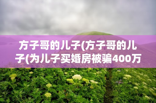 方子哥的儿子(方子哥的儿子(为儿子买婚房被骗400万))