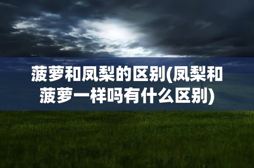 菠萝和凤梨的区别(凤梨和菠萝一样吗有什么区别)